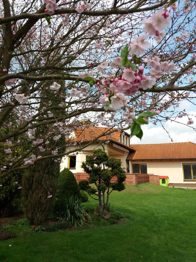 Villa Holiday Karlovy Vary Exterior foto